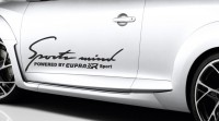 2 Stück Cupra R Seat Sports Mind Aufkleber Sticker 33,5cm x 23cm Mii Ibiza Toledo Leon Altea Alhambra 